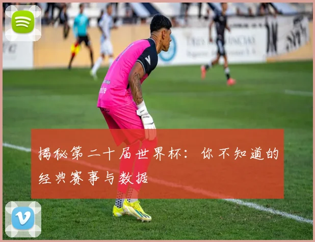 揭秘第二十届世界杯:你不知道的经典赛事与数据