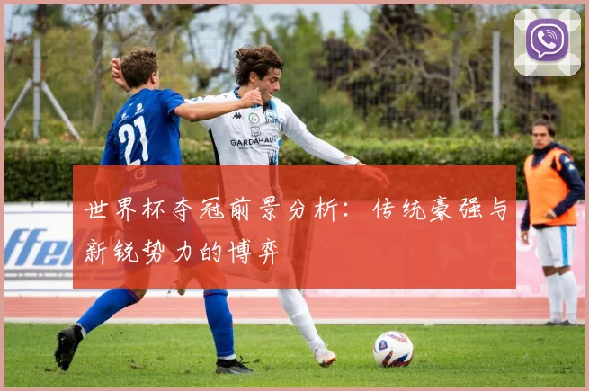 世界杯夺冠前景分析：传统豪强与新锐势力的博弈