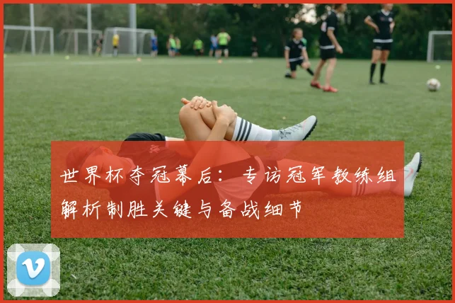 世界杯夺冠幕后：专访冠军教练组解析制胜关键与备战细节