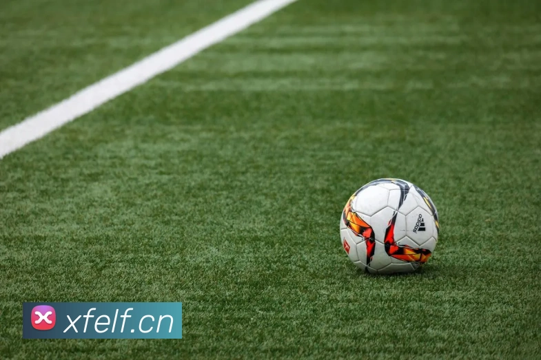 leyu乐鱼APP 体育赛事宣传图